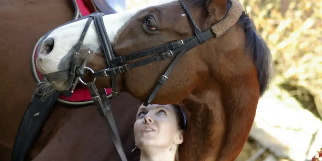 Czy można jeździć konno po mieście? Przepisy i bezpieczeństwo w Wrocławiu