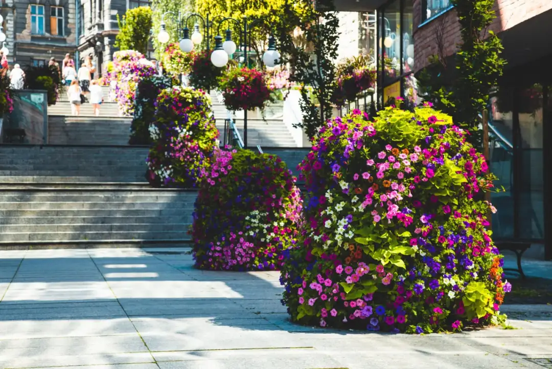 Kwietnik kaskadowy jak zrobić – proste kroki do efektownej aranżacji