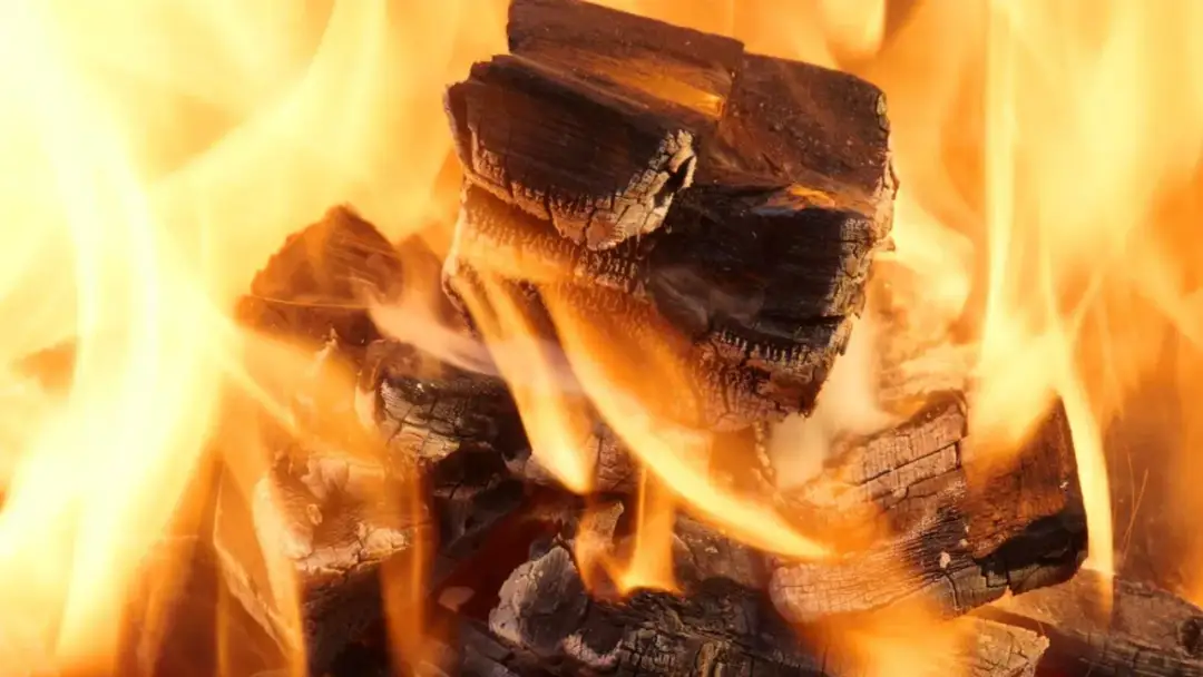 Gdzie kupić ekogroszek w Niemczech? Sprawdź najlepsze oferty i ceny