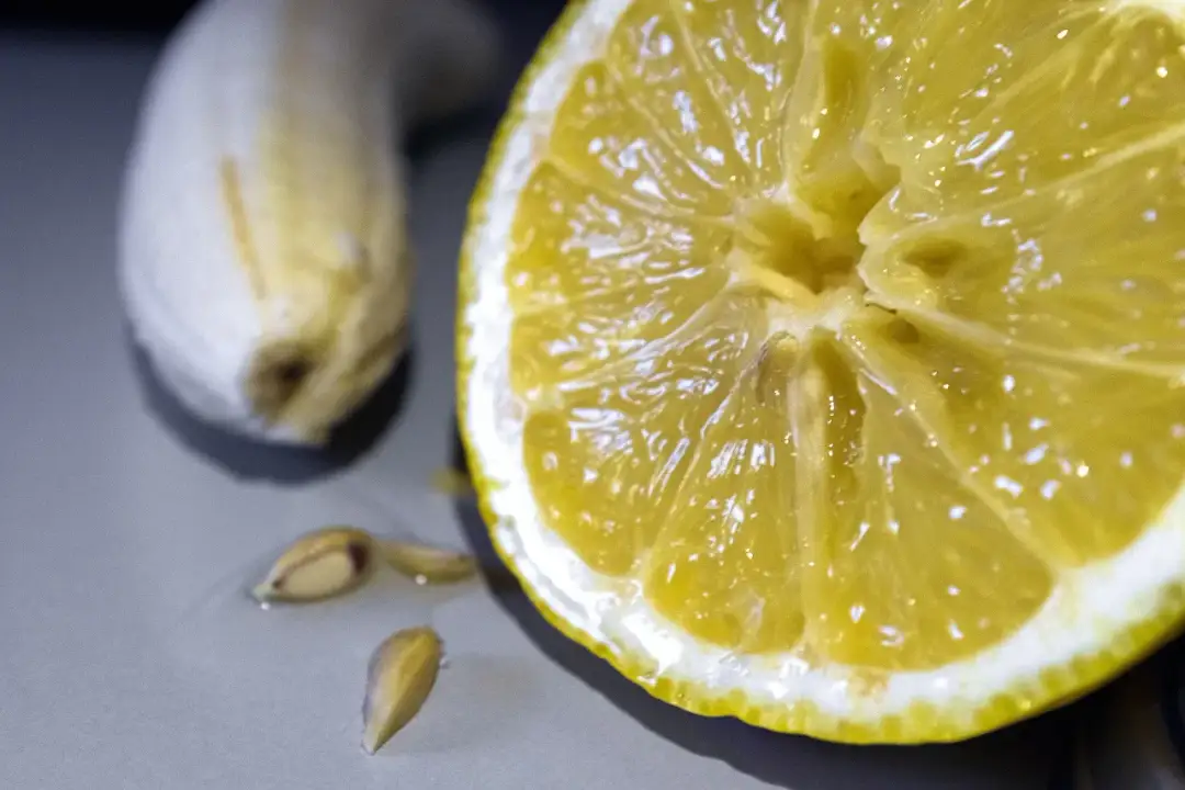 Plasterek cytryny i pestki na szarym tle.