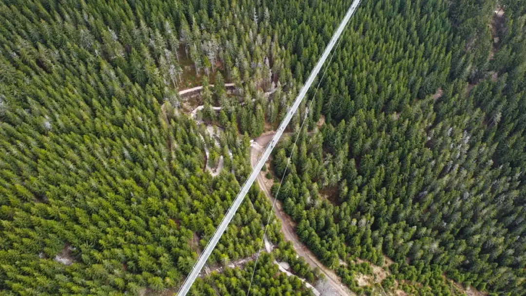 Najpiękniejsze miejsca i atrakcje związane z wiszącymi mostami w Czechach