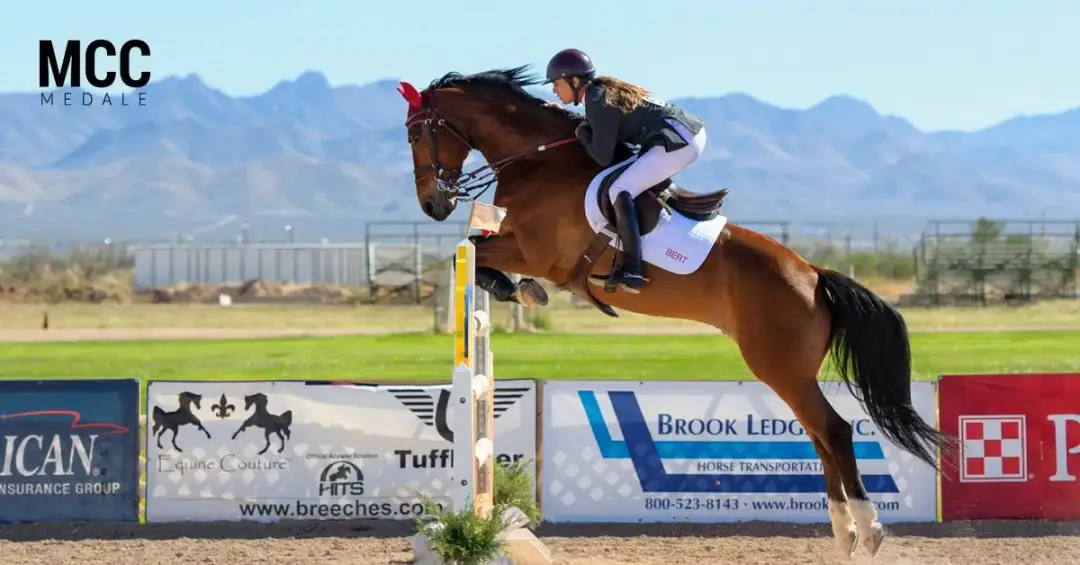 Jazda konna czy konno – jak wybrać najlepszą formę jazdy?