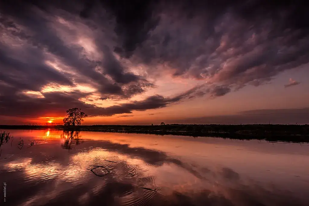 Jak zrobić ładne zdjęcie? Praktyczne porady, które musisz znać!