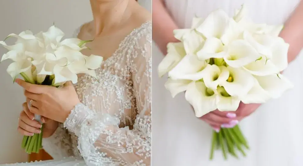 Kalie na ślub znaczenie: odkryj ich symbolikę i wyjątkowość w bukiecie