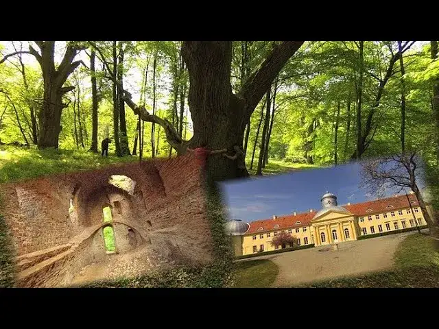 Zamek w Miliczu: Historia, ruiny i tajemnice zapomnianego miejsca