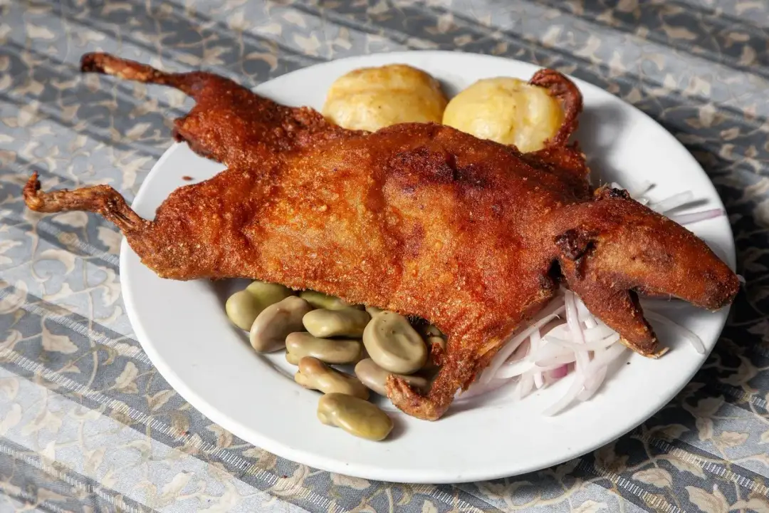 Gdzie jedzą świnki morskie? Zaskakujące fakty o ich spożyciu