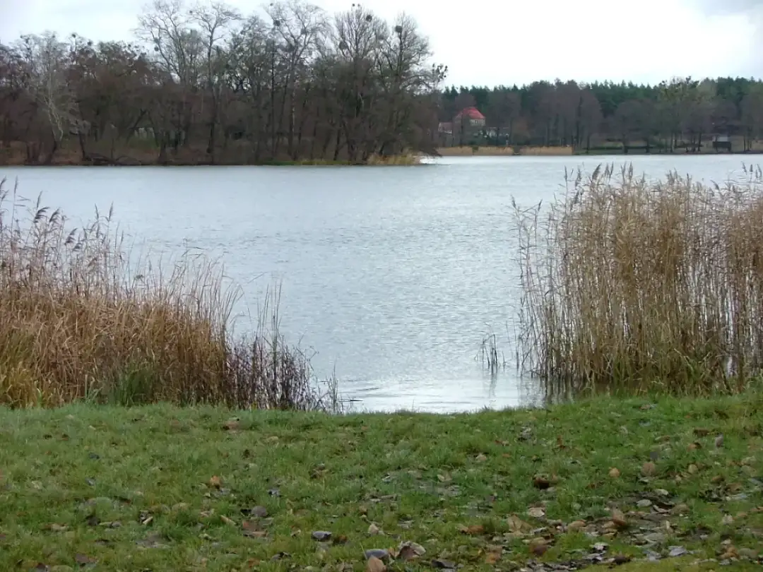 Jezioro Raczyńskie: piękne miejsce na wędkowanie i wypoczynek