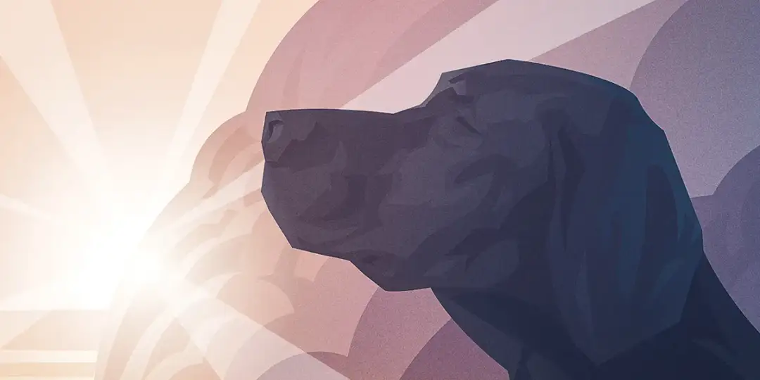 Czy pies ma duszę? Odpowiedzi z perspektywy religii, filozofii i nauki