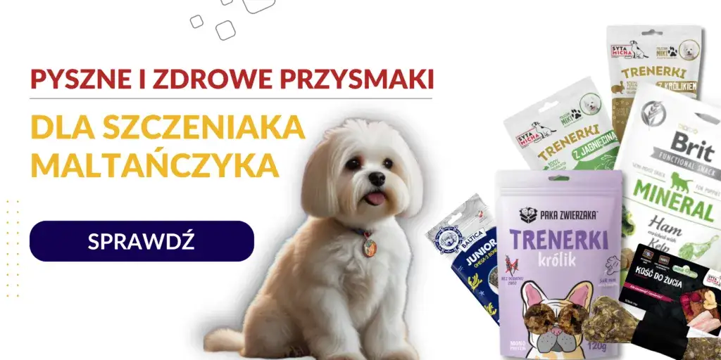 Jakie smakołyki dla szczeniaka? Wybierz mądrze! Porady eksperta