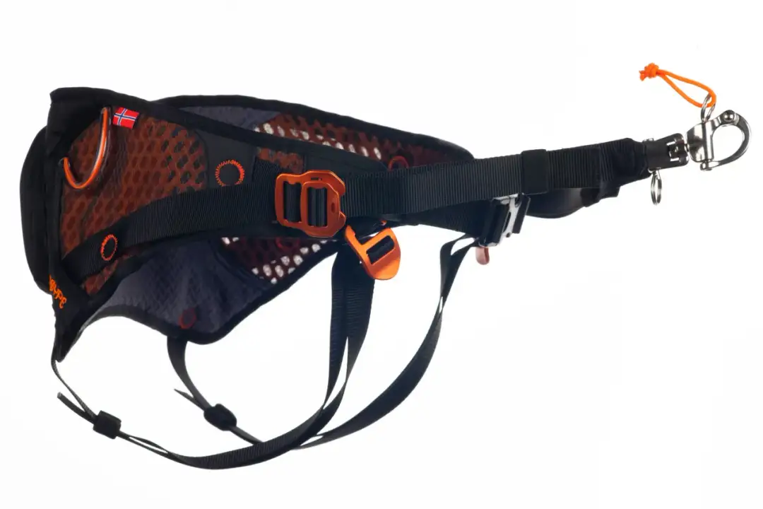 Pas do dogtrekkingu - jak wybrać najlepszy model dla siebie i psa