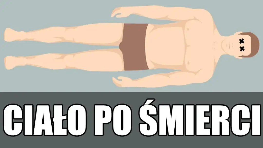 Co się dzieje z ciałem po pogrzebie? Etapy rozkładu, które zaskakują