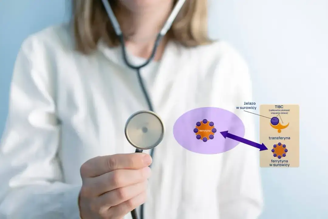 Kiedy udać się do lekarza z wysoką ferrytyną? Lista specjalistów i fakty