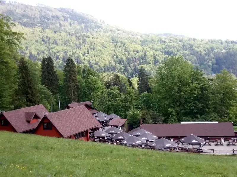 Najlepsze atrakcje w Brennej, które musisz zobaczyć na wakacjach