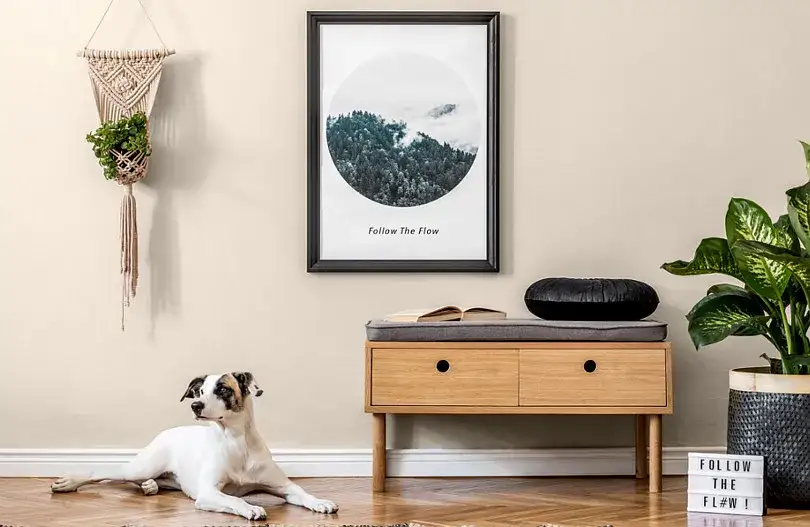 Jak dobrać kolor ścian do mebli, aby uniknąć nietrafionych wyborów