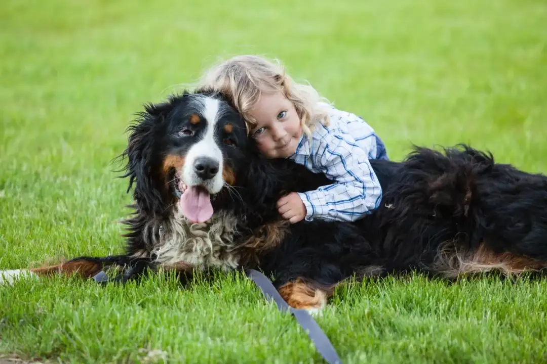 Jakie zwierzę dla dziecka z autyzmem - najlepsze wybory i porady