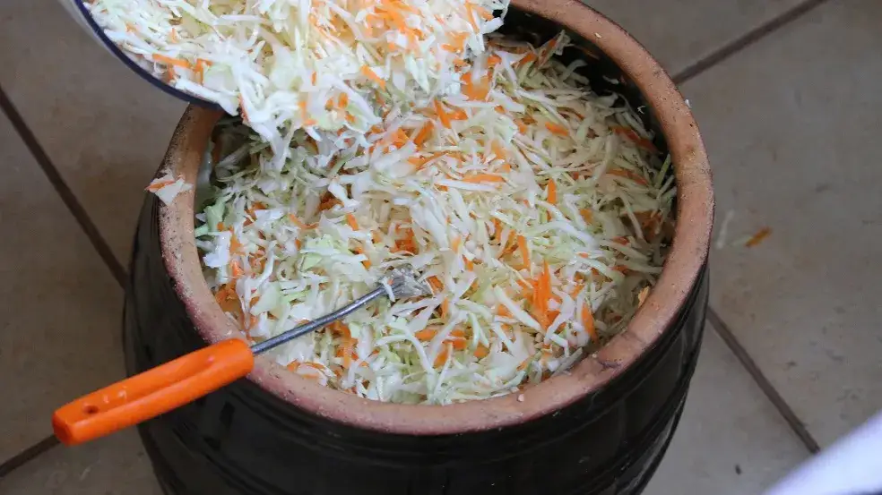 Jak kisić kapustę - najlepsza metoda i porady