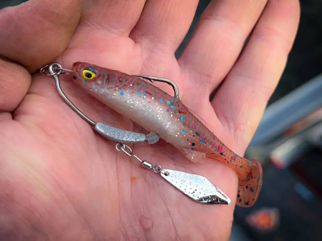 Haczyk na węgorza: Rozmiar, długi trzonek i co z głębokim połknięciem?