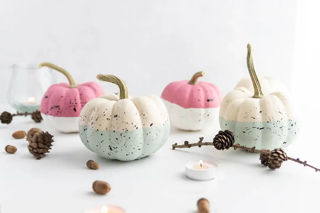 Kürbis bemalen: Einfache Ideen & Anleitung für kreative Herbstdeko
