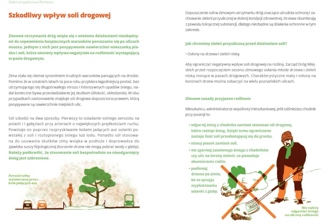 Czy można sypać solą chodniki? Sprawdź przepisy i zalecenia