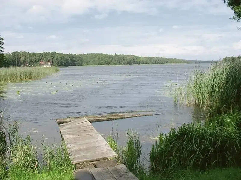 Jezioro Tarnowskie Duże - piękne miejsce na relaks i wędkowanie