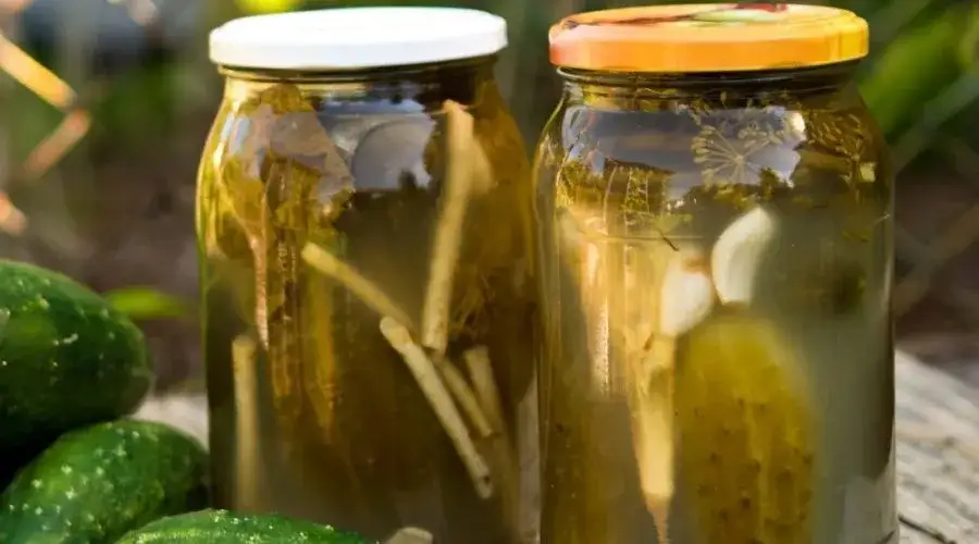 Czy ogórki kiszone można zalewać gorącą wodą? Oto, co musisz wiedzieć