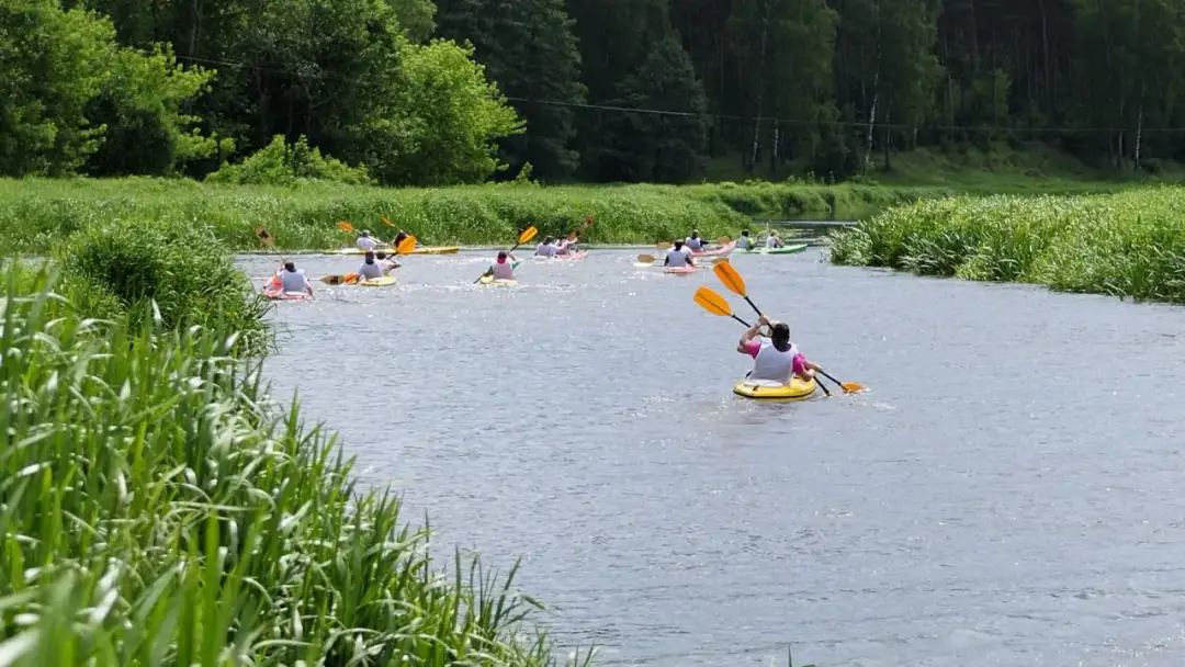 Najlepsze miejsca na kajaki na Podkarpaciu – trasy, wypożyczalnie i atrakcje