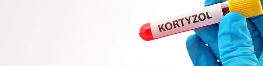 Ile kosztuje badanie poziomu kortyzolu? Sprawdź ceny i uniknij niespodzianek!