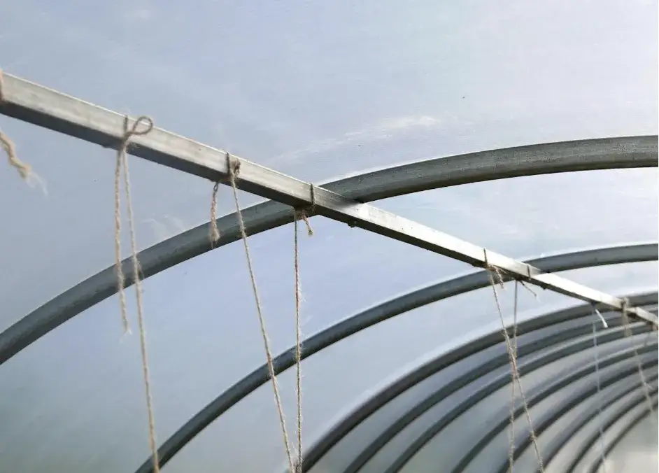 Kiedy warto zastosować płyty komorowe z poliwęglanu zamiast szkła?