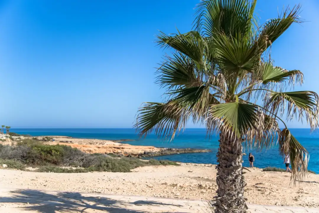 Ayia Napa: Raj dla turystów - Plaże, atrakcje i nocne życie