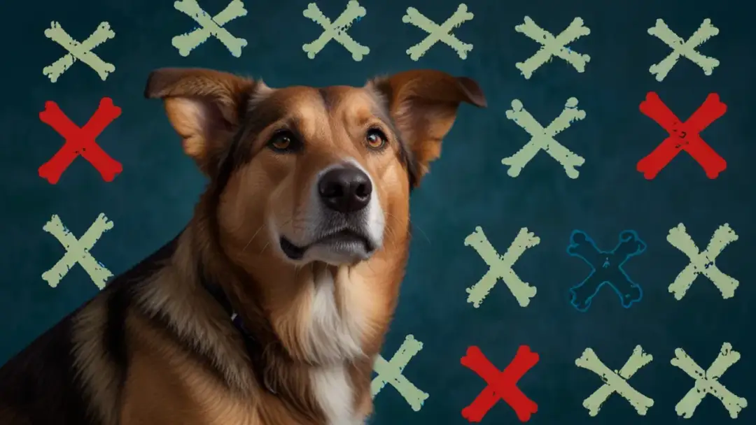 Jakie kości są bezpieczne dla psa? Unikaj tych 5 rodzajów