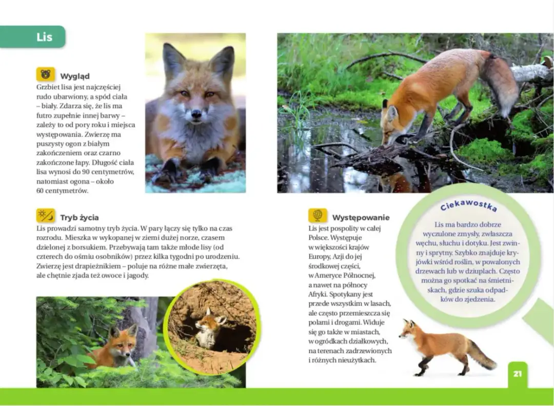 Zwierzę dla dziecka z autyzmem? Wybierz mądrze! Poradnik Macieja Jabłońskiego