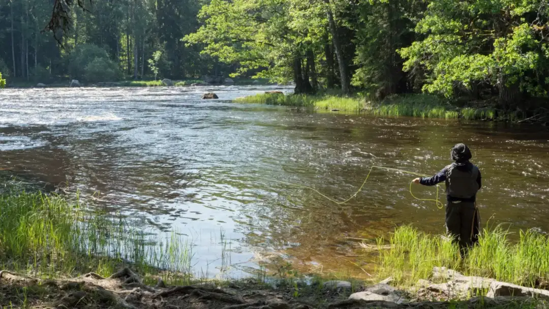 Gdzie można łowić bez karty wędkarskiej? Odkryj najlepsze miejsca