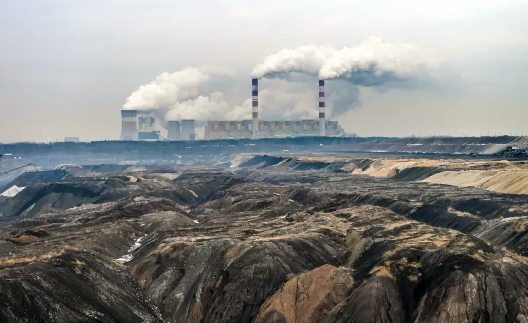 Czy ekogroszek to biomasa? Odkryj prawdę o jego ekologiczności