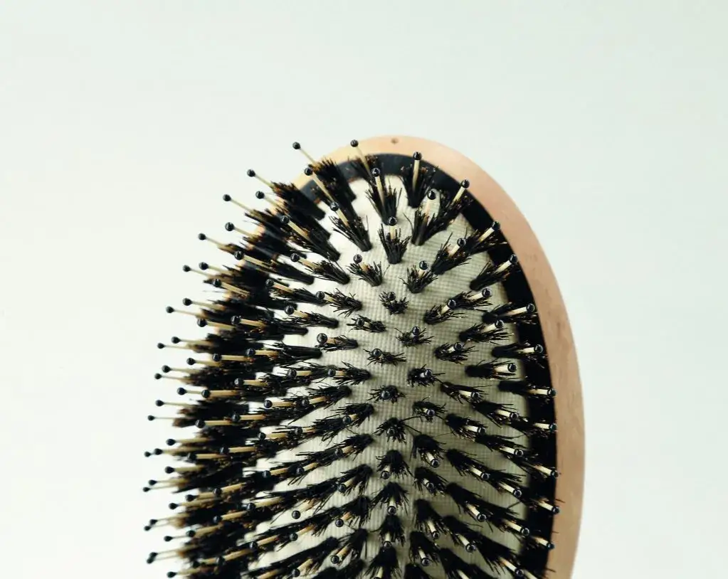 Jak czyścić szczotkę z włosia dzika, aby uniknąć jej zniszczenia