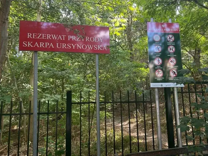 Rezerwat przyrody Skarpa Ursynowska - tajemnice i unikalne ekosystemy