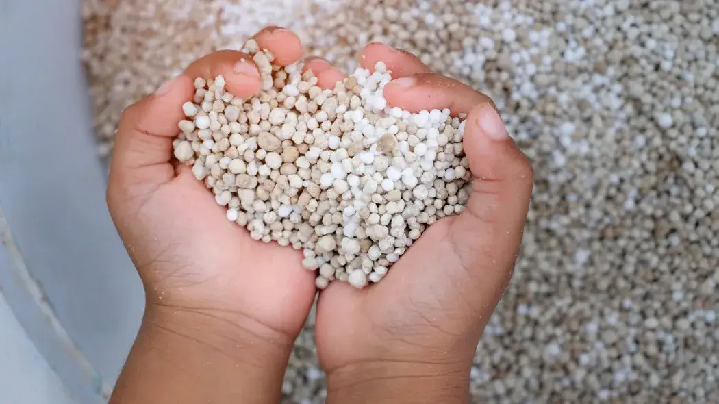 Kreda czy wapno – które lepiej odkwasza glebę i poprawia plony?