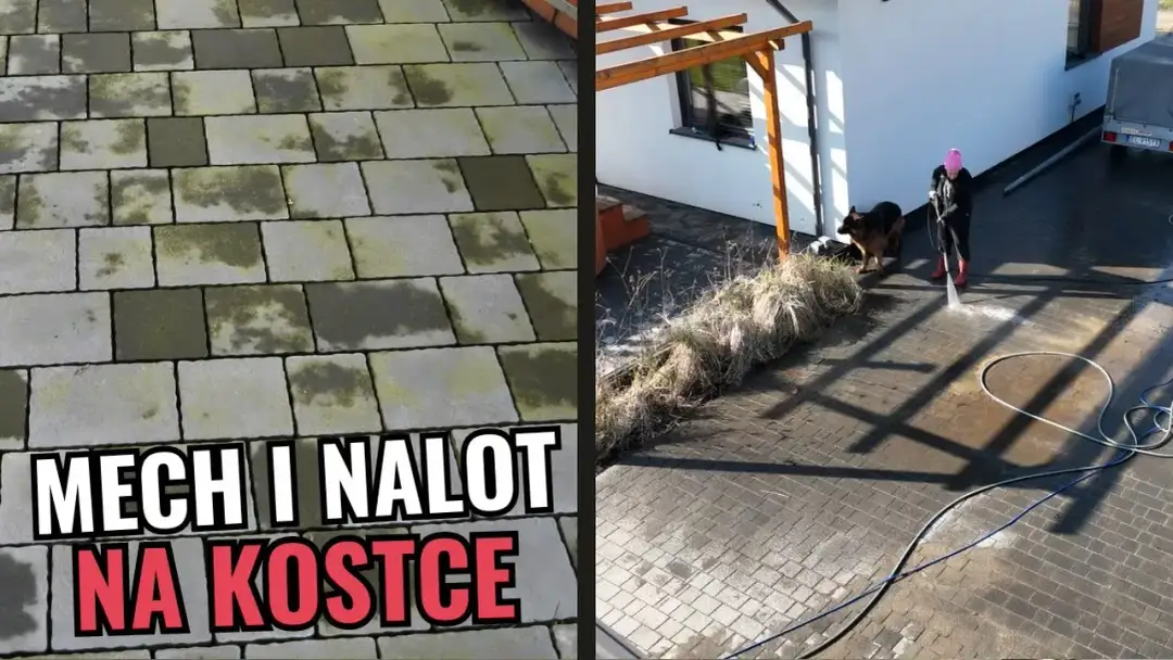 Jak usunąć zielony nalot z kostki brukowej - skuteczne metody i porady