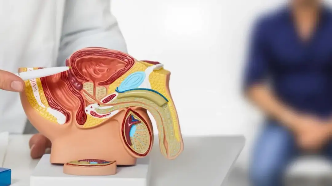 Jakie są objawy prostaty? Poznaj sygnały, które mogą niepokoić