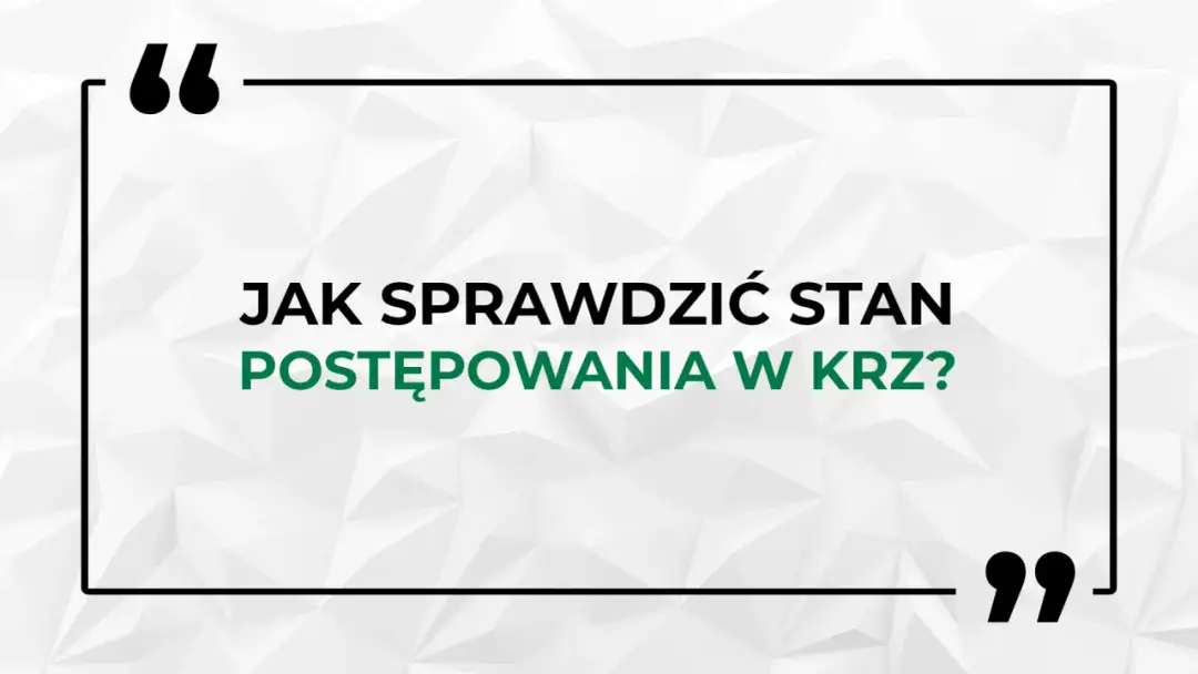 Jak sprawdzić upadłość osoby fizycznej? KRZ darmowy poradnik.