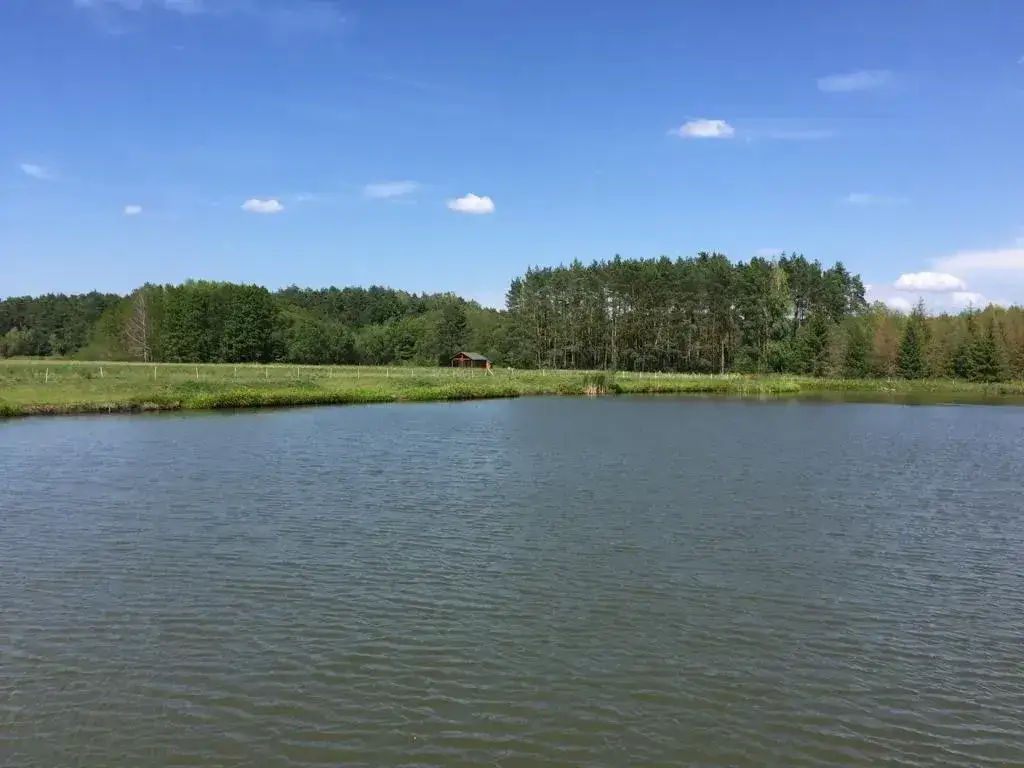 Łowisko Łazy – idealne miejsce na wędkowanie i relaks w naturze