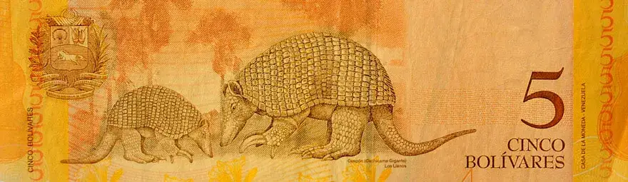 Kurs boliwara wenezuelskiego - jakiej wartości walutą posługuje się Wenezuela?