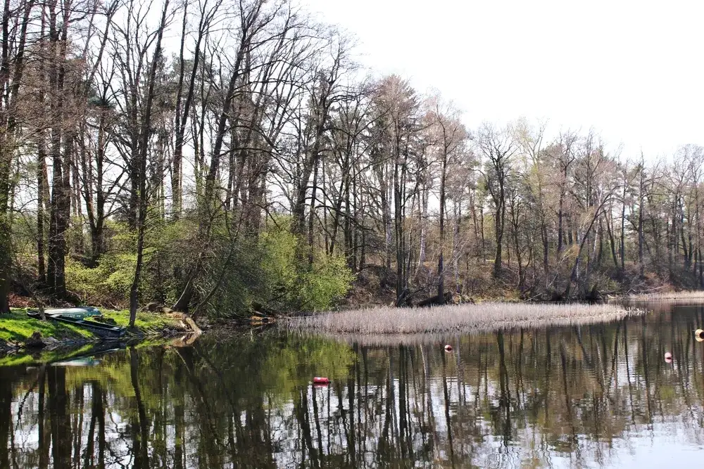 Jezioro Lucieńskie – idealne miejsce na relaks i wędkowanie w naturze