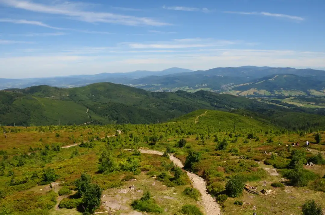 Rezerwat przyrody Barania Góra – tajemnice i niezwykłe atrakcje