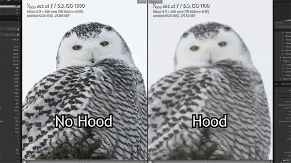 Co daje osłona przeciwsłoneczna na obiektyw? Ochrona i lepsze zdjęcia bez refleksów