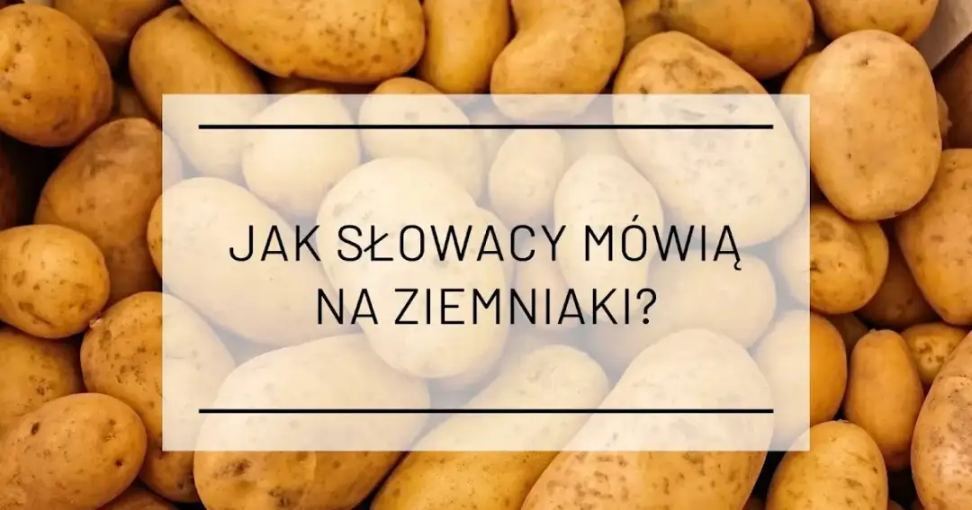 Jak się mówi na ziemniaki po śląsku? Poznaj regionalne nazwy i tradycje