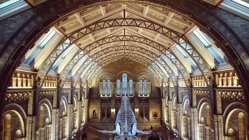 Muzea w Londynie za Darmo! Poznaj 10 Najciekawszych i Bezpłatnych