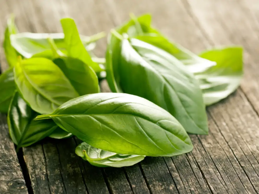 Bazylia czy wanilia? Nietypowe połączenia, które musisz znać