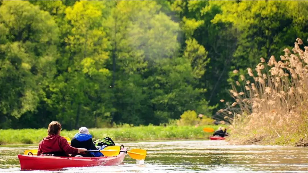 Ile kosztuje spływ kajakowy? Kosztorys i praktyczne porady
