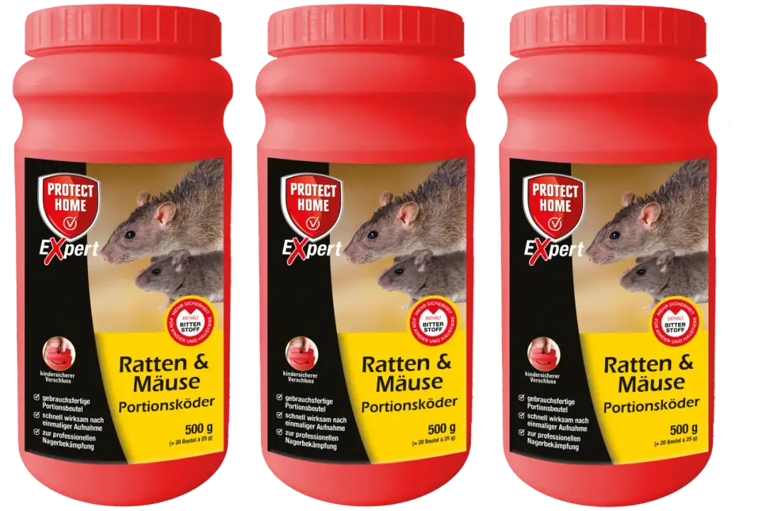 Was fressen Ratten gerne? Die besten Köder für effektive Fallen