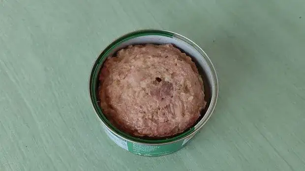 Gdzie wyrzucić puszkę po konserwie, aby nie szkodzić środowisku?